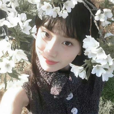 追星星的人2